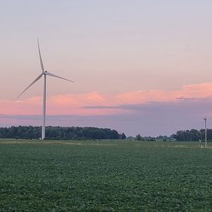 Meet your Posher, Meg